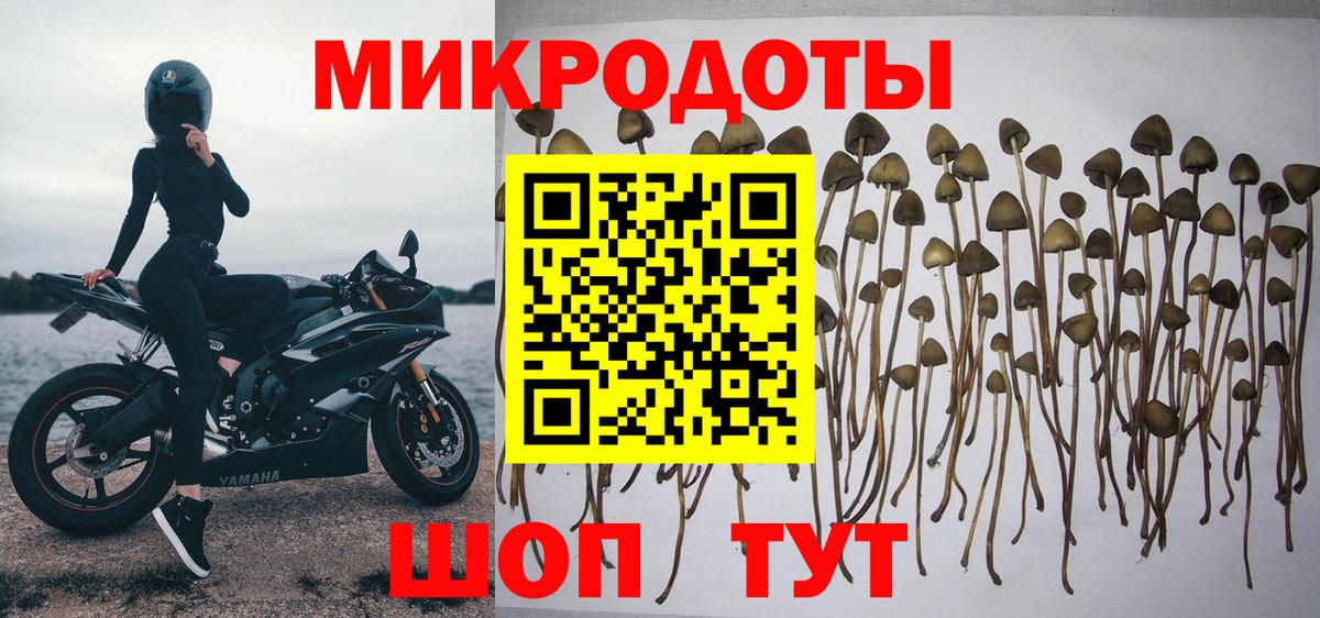 Псилоцибиновые грибы прущие грибы Амурск